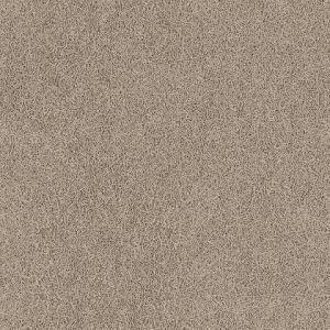 8204_17_additional image_new.jpg image